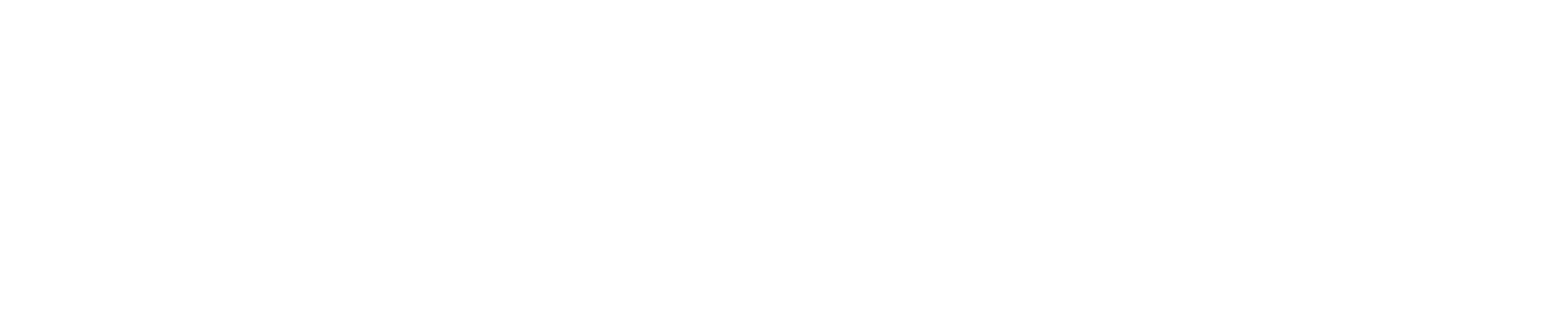 Logo for the Center for Infrastructure Assurance and Security